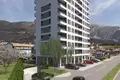 1 bedroom apartment 47 m² Montenegro, Montenegro