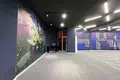 Commercial space for rent in Tbilisi, Nadzaladevi