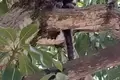 Parcelas  Regiao Geografica Imediata de Salvador, Brasil