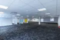 Коммерческое помещение 272 м² в Риге, Латвия