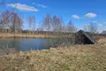 Dom 5 pokojów 208 m² Limbazu pagasts, Łotwa
