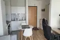 Wohnung 1 Zimmer 29 m² in Warschau, Polen