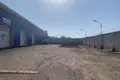 Commercial property 1 room 600 m² in Nizino, Russia