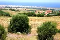1 room Cottage 315 m² Anchialos, Greece