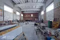 Warehouse 744 m² in Pleshchanitsy, Belarus