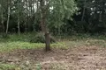 Land  Saskouski sielski Saviet, Belarus
