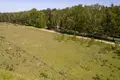 Atterrir 1 405 m² Nieczajna, Pologne