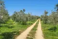 Chalet 35 000 m² Grad Rovinj, Croatia
