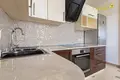 1 room apartment 47 m² Minsk, Belarus