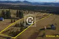 Atterrir 27 000 m² Zabljak, Monténégro