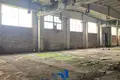 Warehouse 29 515 m² in Liebiedzieuski sielski Saviet, Belarus