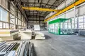 Shop 2 030 m² in Rogozno, Poland