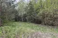 Haus 42 m² Radaskovicki selski Savet, Belarus