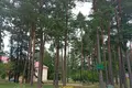 Wohnung 2 zimmer 46 m² Slonim, Belarus
