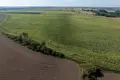 Działki 448 500 m² Łubowice, Polska