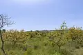 Atterrir 79 m² Mijas, Espagne