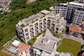 1 bedroom apartment 105 m² Montenegro, Montenegro