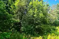 Дом 220 м² Янушковичский сельский Совет, Беларусь
