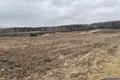 Parcelas 25 000 m² Promna Kolonia, Polonia