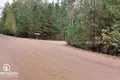 Haus 64 m² Rubazevicki selski Savet, Belarus