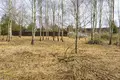 Grundstück  Barauski sielski Saviet, Weißrussland
