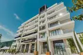 Wohnung 6 zimmer 220 m² Mojkovac, Montenegro