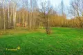 Haus 190 m² Hlivinski sielski Saviet, Weißrussland
