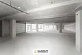 Commercial property 1 005 m² in Minsk, Belarus