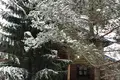 Дом  Налибокский сельский Совет, Беларусь
