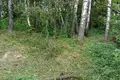 Дом 72 м² Красненский сельский Совет, Беларусь