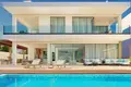 4 bedroom Villa 799 m² Prodromi, Cyprus