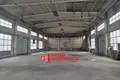 Produktion 3 600 m² Masty, Weißrussland