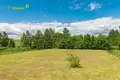 House 127 m² Lasanski sielski Saviet, Belarus