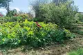Дом 44 м² Драчковский сельский Совет, Беларусь