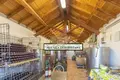 Commercial property 590 m² in Castellina in Chianti, Italy