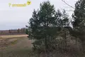 Maison 39 m² Stankauski sielski Saviet, Bélarus