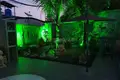 Willa 8 pokojów 515 m² Rawai, Tajlandia