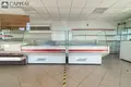 Commercial property 91 m² in Didieji Bausiai, Lithuania