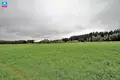 Land  Gulbiniskiai, Lithuania