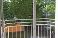 Apartamento 1 habitación 39 m² Varsovia, Polonia