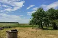 Land  Lida, Belarus
