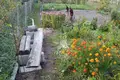 Дом  Дещенский сельский Совет, Беларусь