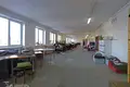 Manufacture 1 804 m² in Hotland rural council, Belarus