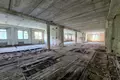 Propriété commerciale 2 491 m² à Pliechtchanitsy, Biélorussie