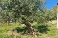 Land  Herceg Novi, Montenegro