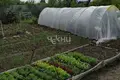 Земельные участки 600 м² Бор, Россия