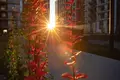 Apartamento 1 habitación 77 m² Kaliningrado, Rusia