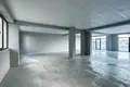 Gewerbefläche 253 m² Tiflis, Georgien