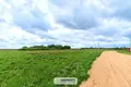 Land  Sitniki, Belarus