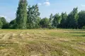 Land 1 room 1 441 m² Wola Karczewska, Poland